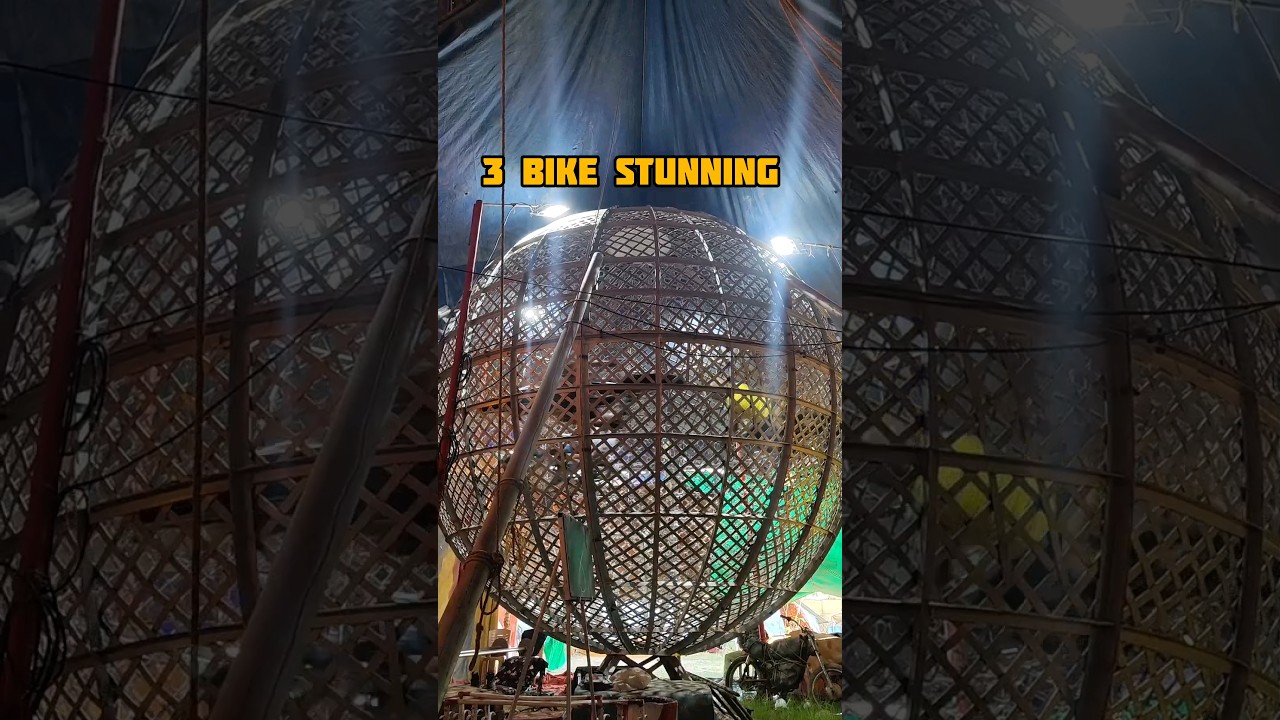 💥🤩 Jumbo Circus in Chennai 🎪 #shorts #youtubeshorts #circus