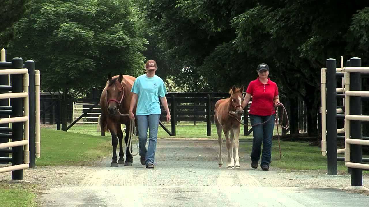 One Time Pepto Promotional Video for 2012