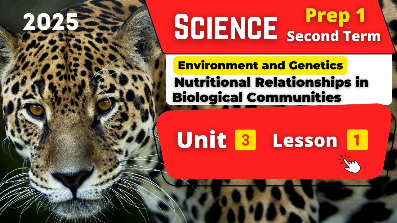 Nutritional Relationships in Biological Communities | Prep.1 | Unit 3 - Lesson 1 | Science