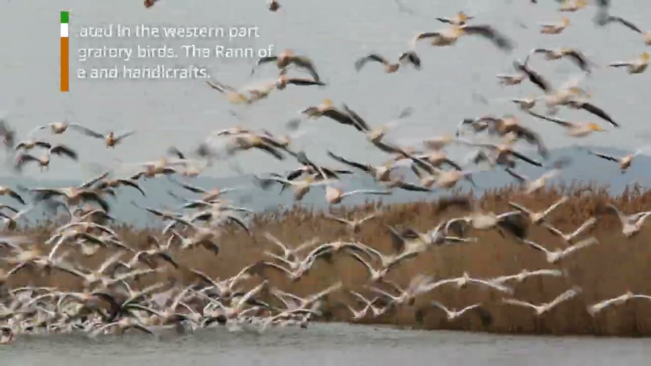 5 beautiful places to visit in Gujarat