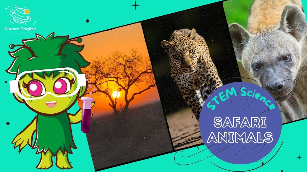 Safari Animals | Science for Kids | STEM Home Learning