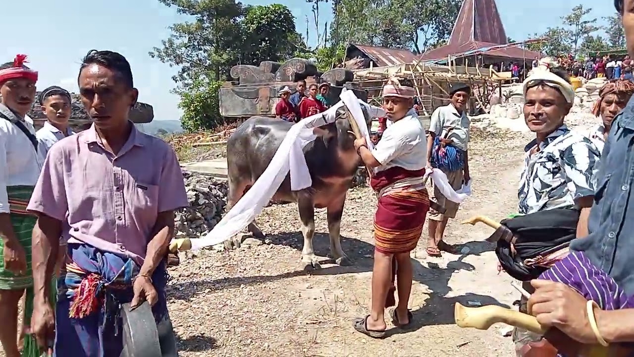kedde di kampung ellowanno desa malitidari