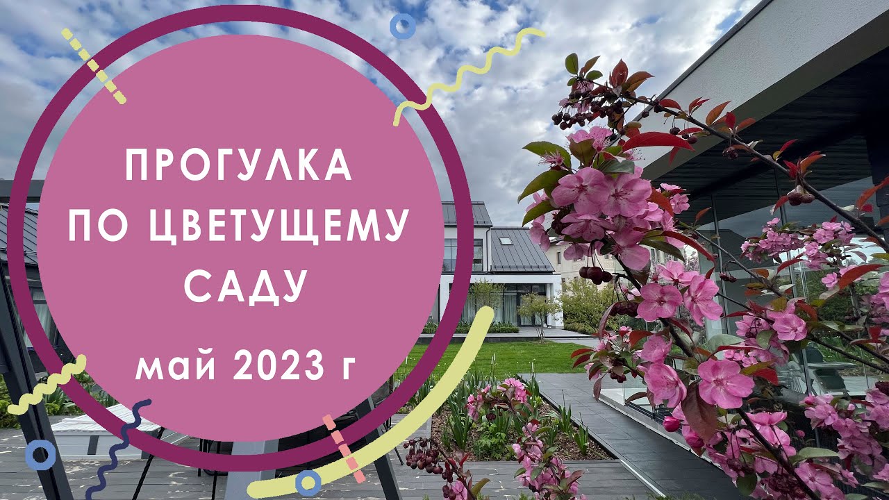 Прогулка по цветущему саду на 25 сотках в Миллениум Парк.  Май 2023 г.