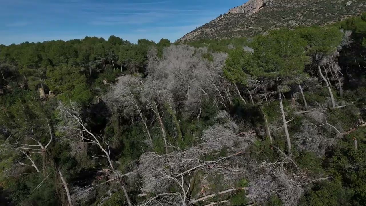 corrales del Montgó #1
