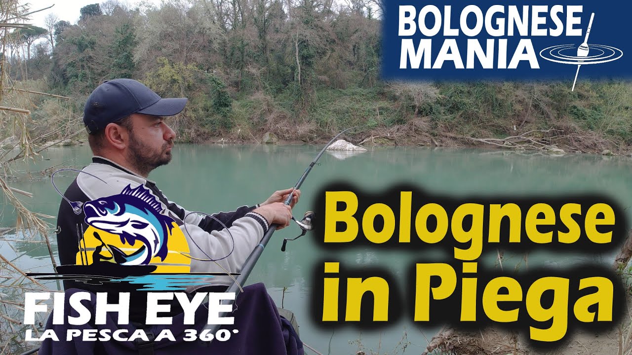 Pesca a bolognese in fiume - Cavedani divertenti