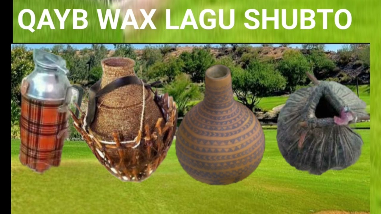 Waa qaybtii shanaad iyo Taxanihii dhaaanka Reer guuraaga
