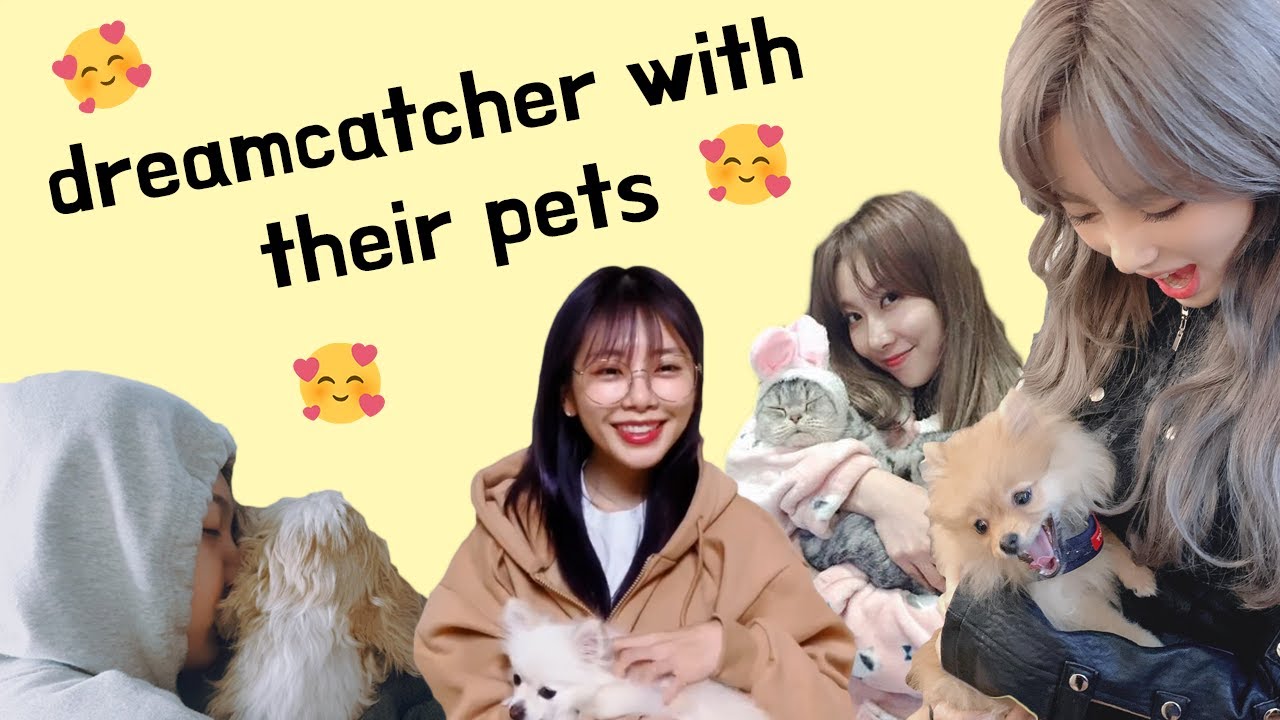 introducing dreamcatcher with their pets 🥰