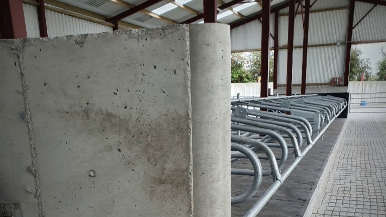 52 cubicle shed used for cow to wait in also