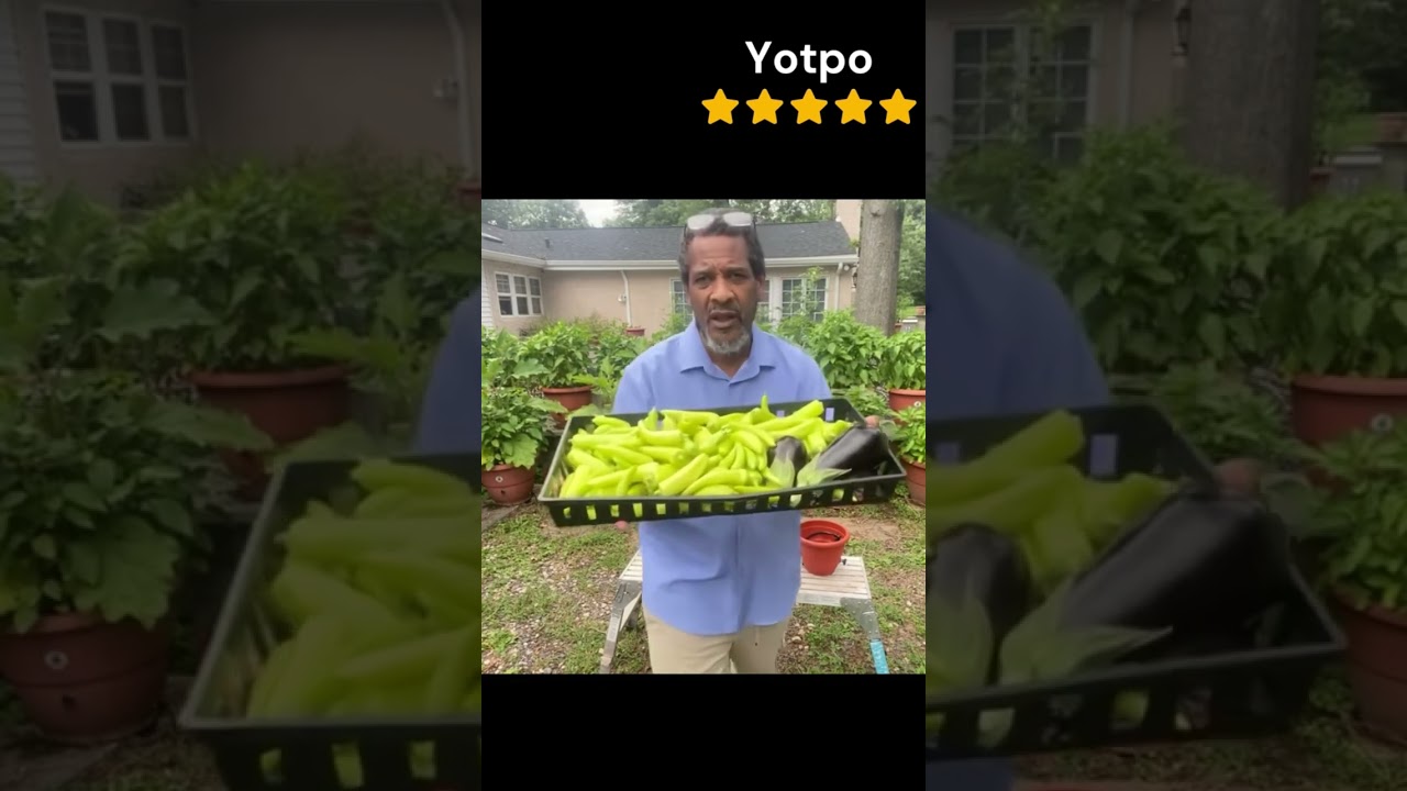 #garden