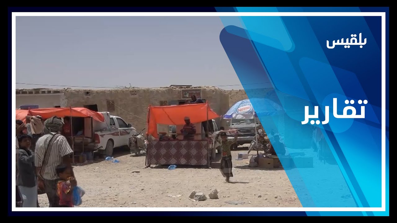 شبوة.. كاميرا بلقيس توثق معاناة سكان مديرية الطلح المنسية من الخدمات | تقرير: أبو بكر حسين