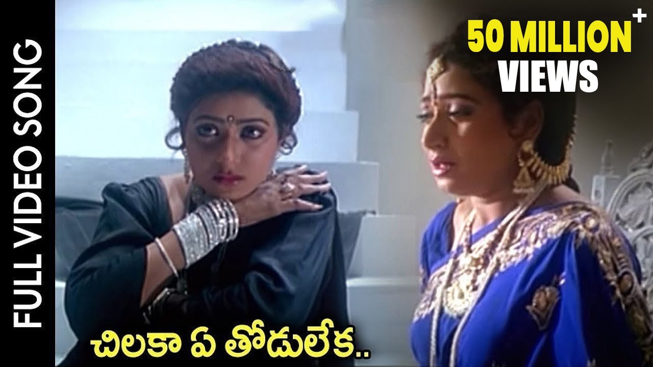 Subhalagnam Movie || Chilaka Ye Thodu Leka Video Song || Jagapathi Babu, Aamani || Shalimarcinema