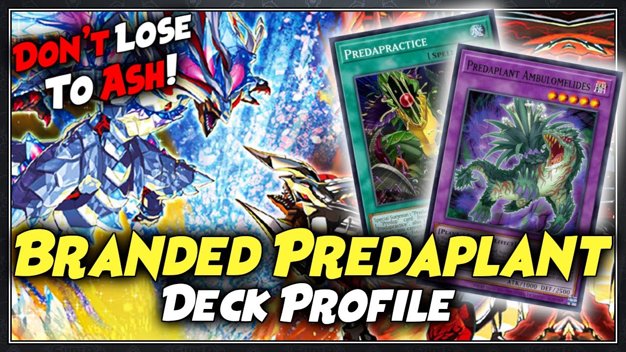 Branded Predaplant Deck Profile + Combo Tutorial! | July 2022 | Yu-Gi-Oh!