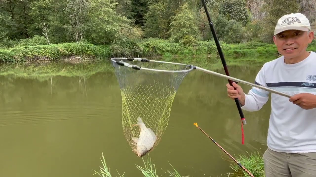 74, How to Catch More Carps  诱钓结合能钓到更多的鲤鱼