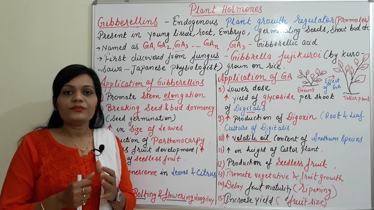 Class (26) = Gibberellins | Introduction, Function & Application |Types of Plant Hormone (Part 03)
