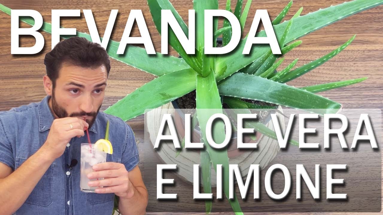 BEVANDA FRESCA con ALOE VERA e LIMONE |fai da te| GEL DI ALOE VERA PURO 100%