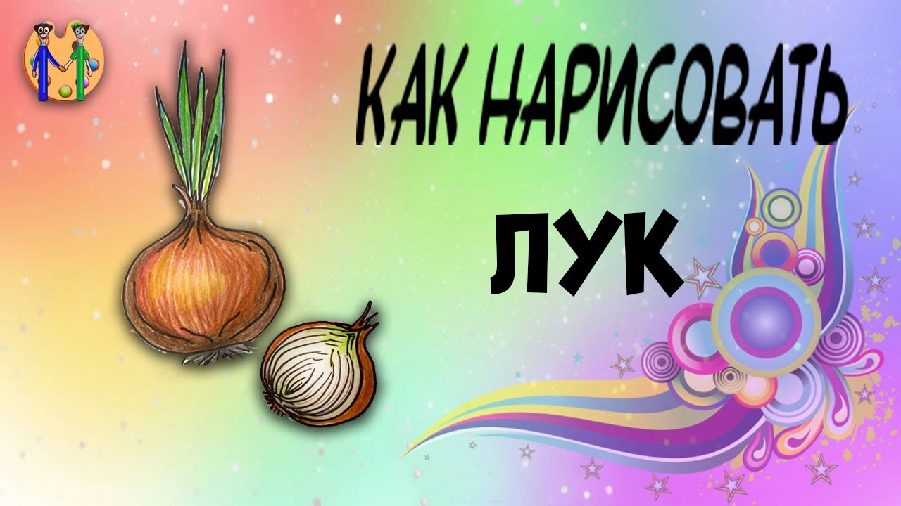Как нарисовать лук. Онлайн-школа рисования 