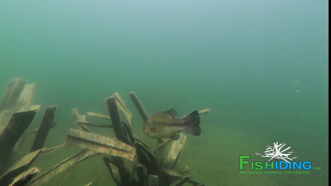 The Science Behind Fishiding Artificial Fish Habitat-Time Lapse Video (Part 6 of 10):