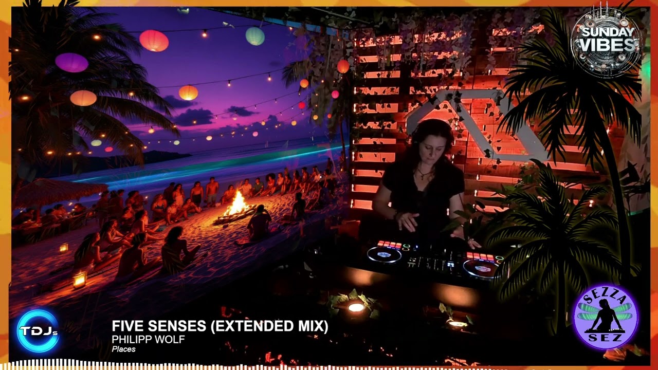 Sunday Vibes House Mix Feb 2025 feat. Guy Didden, St.Ego, Philipp Wolf, Boxer, Helsloot, mOat + more