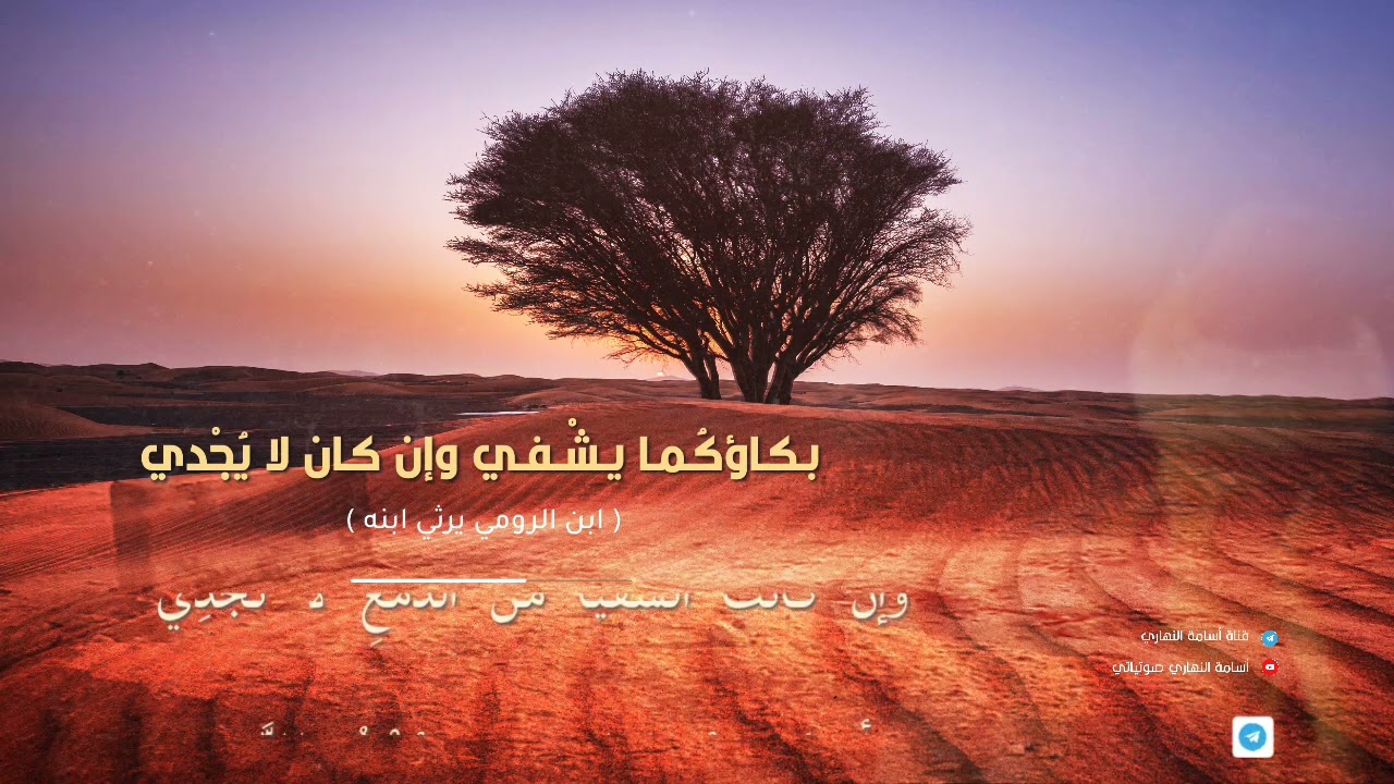 بكاؤكما يشفي وإن كان لا يجدي | ابن الرومي يرثي ابنه | إلقاء : أسامة النهاري