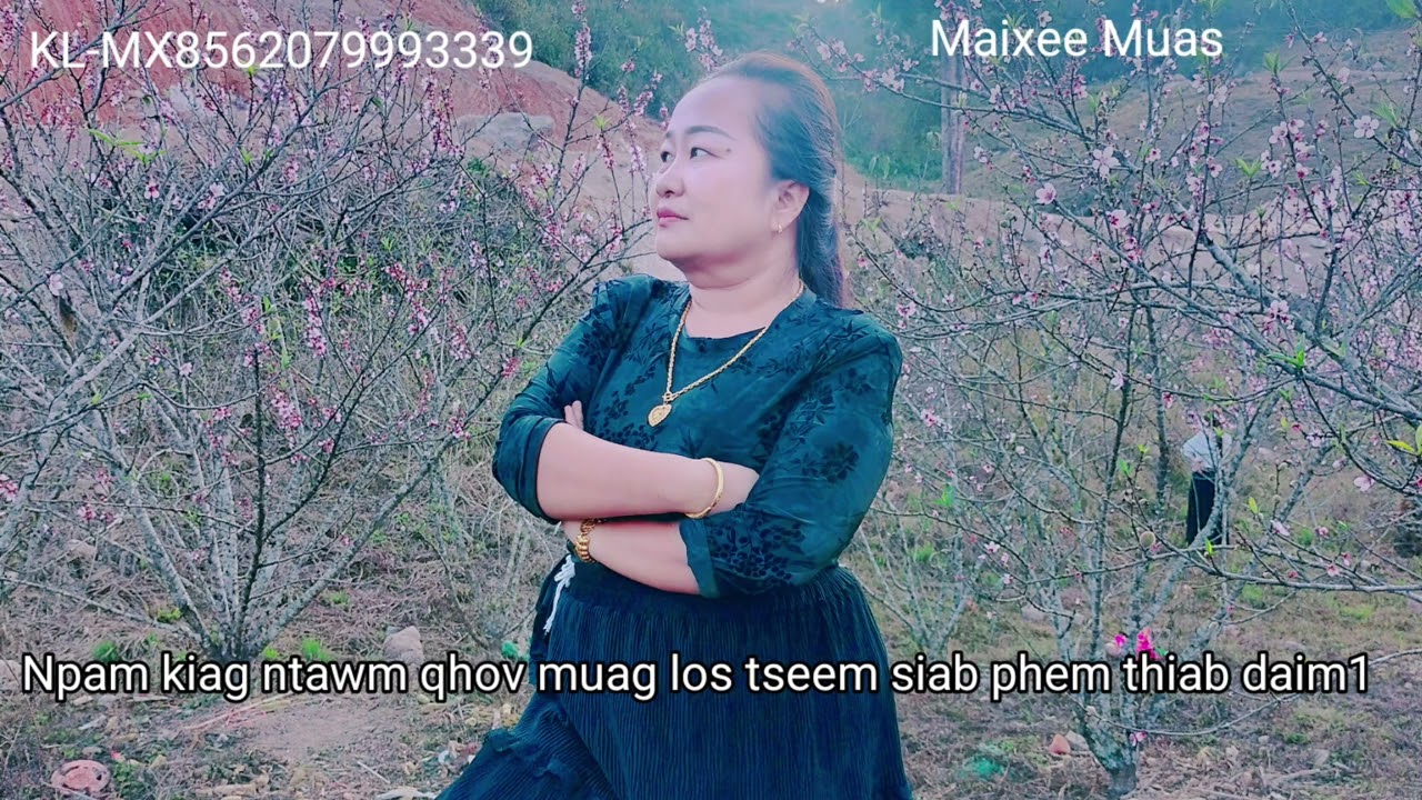 Npam kiag ntawm qhov muag los tseem siab phem thiab daim1  2/23/2026