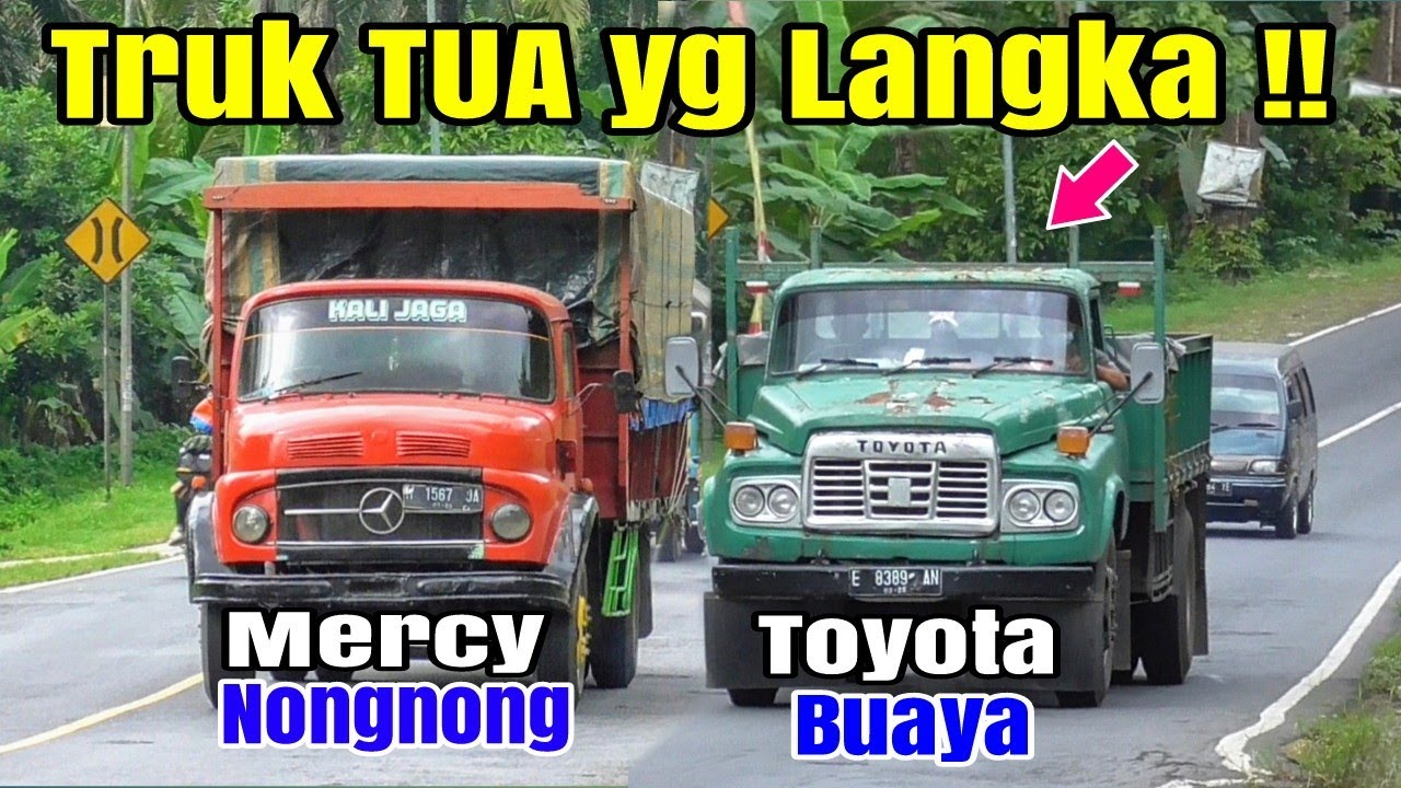 Truk BUAYA !! Sangat LANGKA Mercy Nongnong 911 Toyota DA115, HINO Tronton,Nissan, Fuso nanjak Cibeka