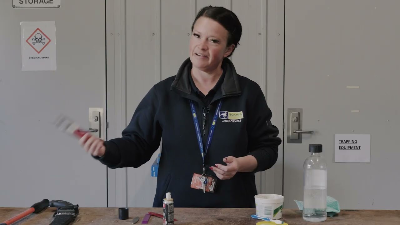 Box Hill Institute - Horticulture - Pruning - How to clean and sharpen your tools