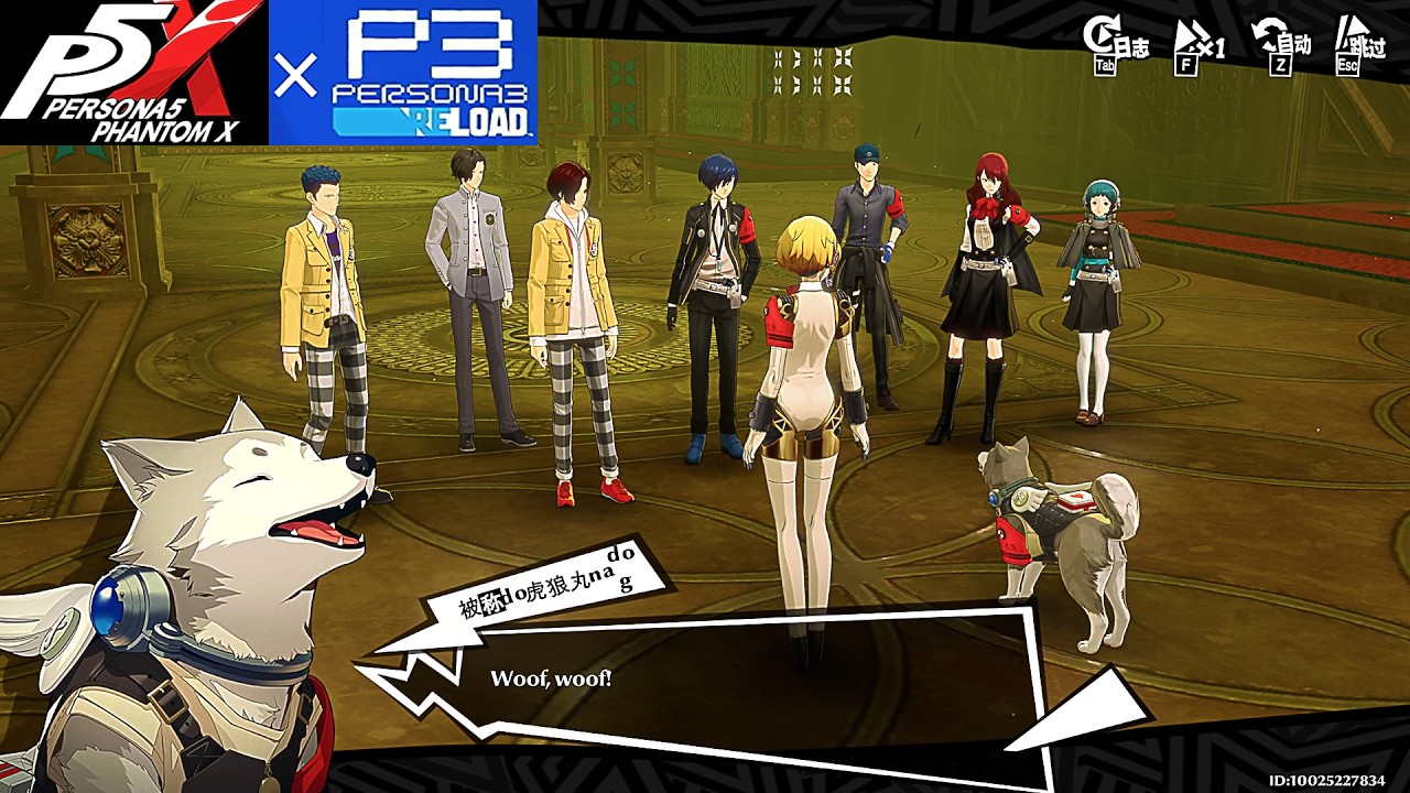 Wonder meets Koromaru & Aigis - Persona 5 The Phantom x Persona 3 Reload
