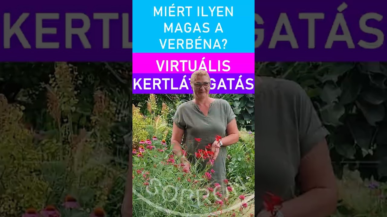 Mi&eacute;rt ilyen magas a verb&eacute;na? #ritakertje