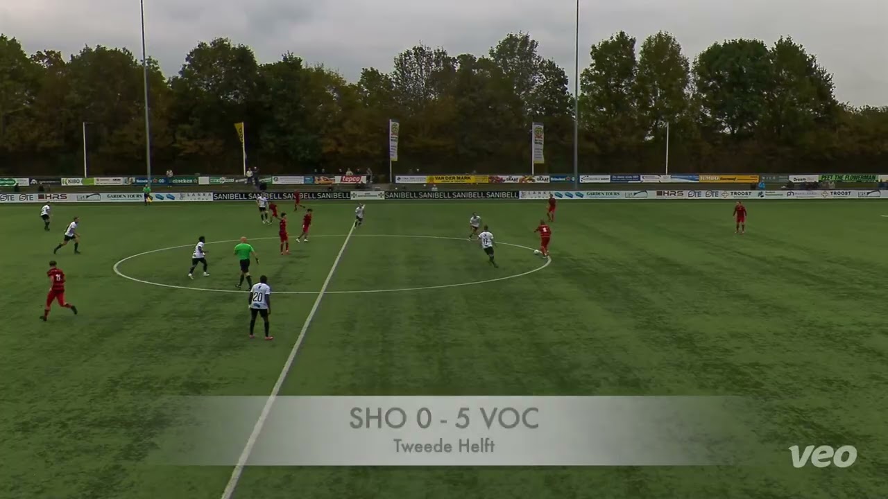 Samenvatting SHO - VOC (1-6)