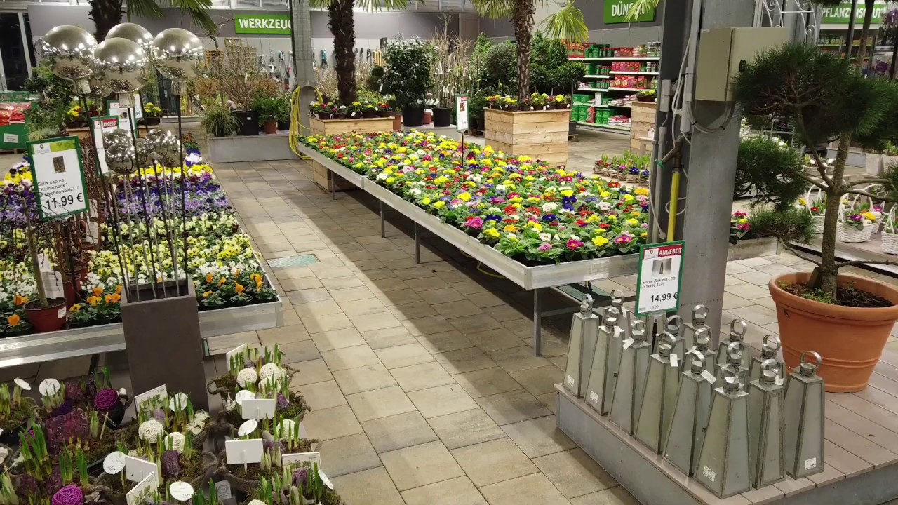 Rundgang Januar 2019 Gartencenter Schlegel