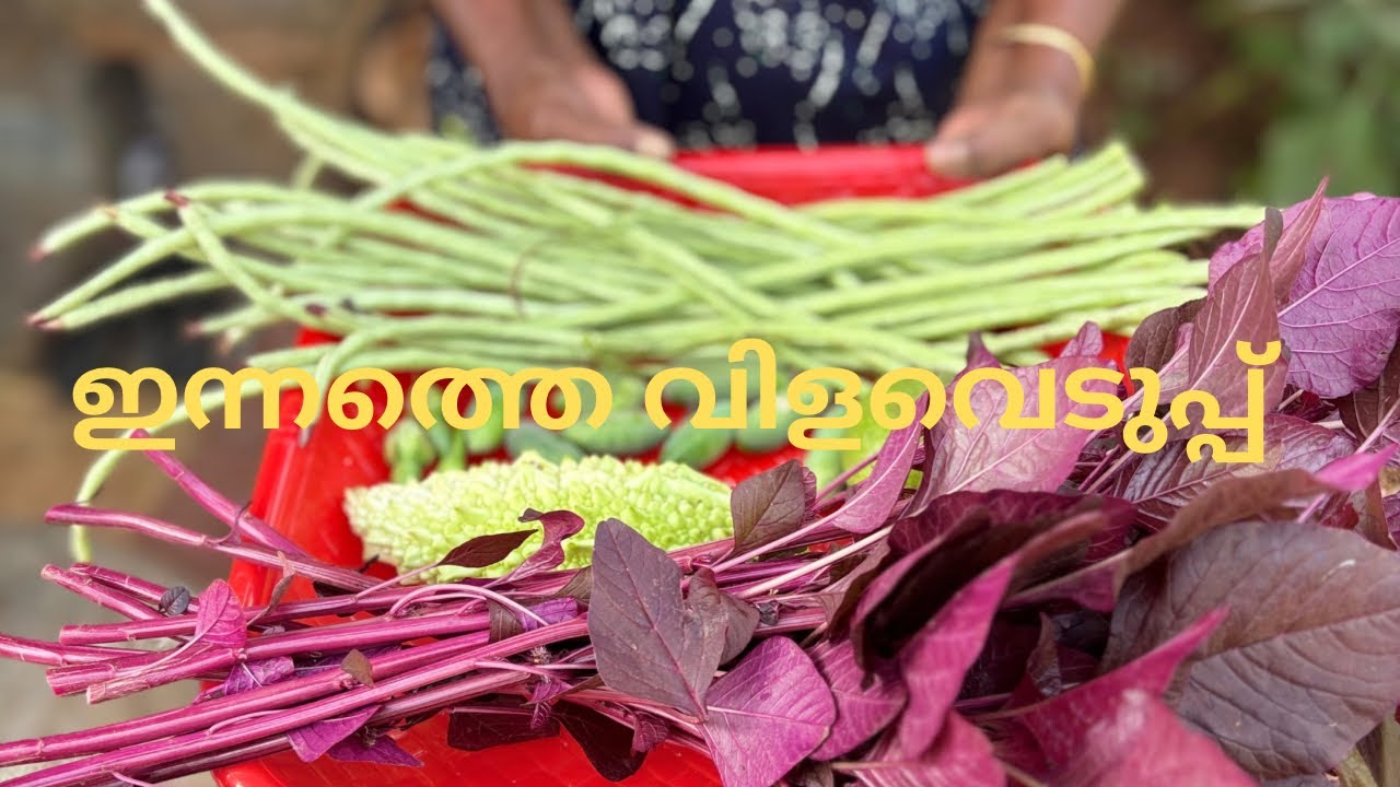 ആദ്യത്തെ വീഡിയോ ആണെ support ചെയ്യിലെ 🥰