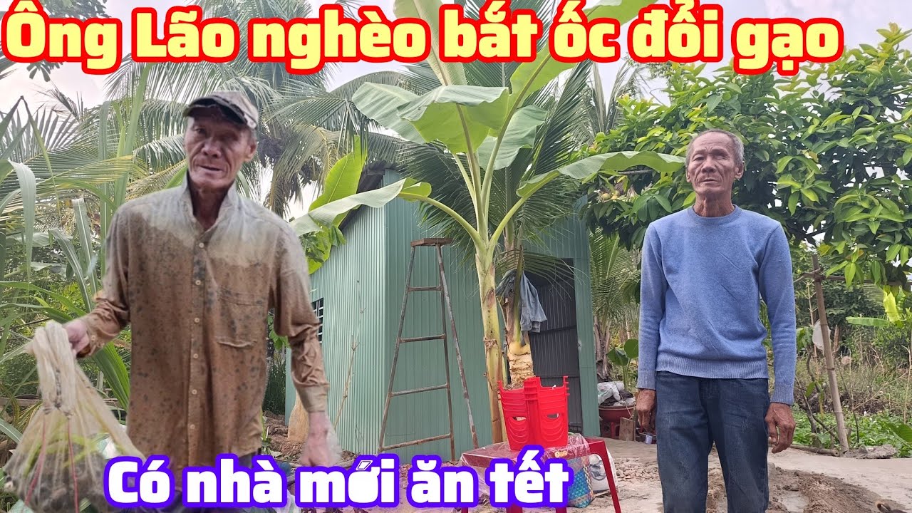 Ông Lão nghèo bắt ốc đổi gạo , có nhà mới ăn tết bất ngờ , Bột trà ôn 