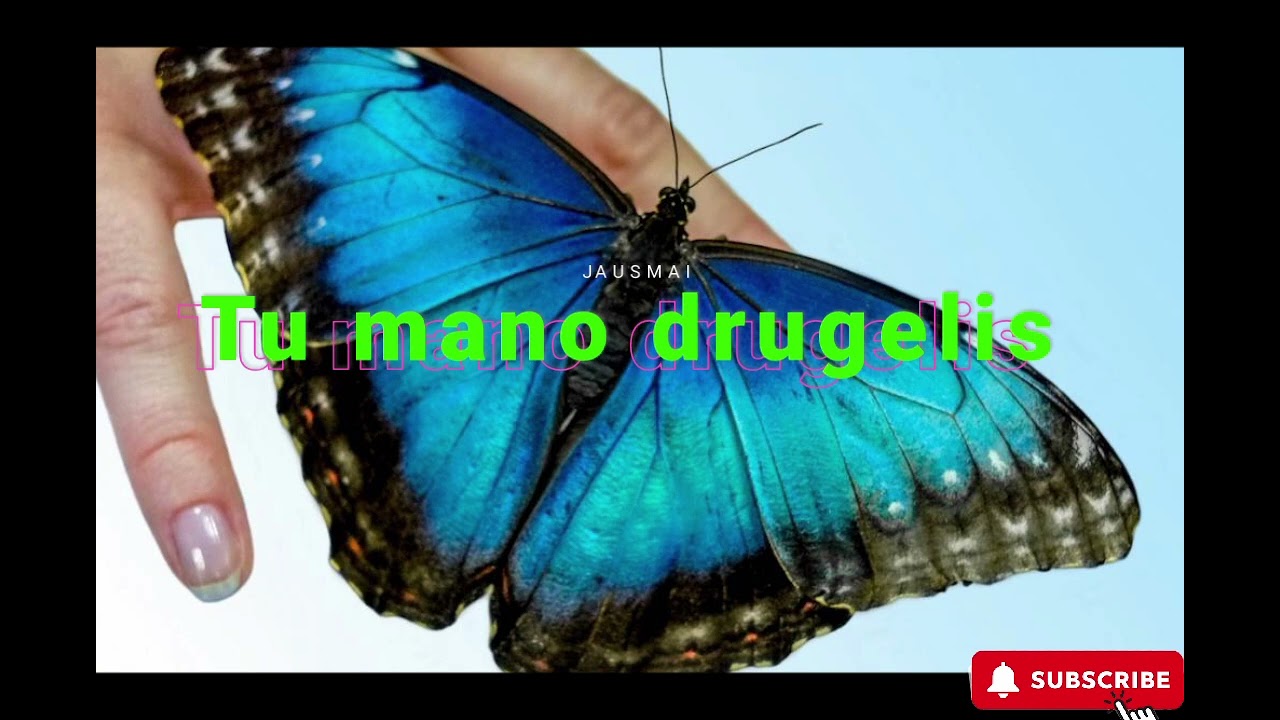 JAUSMAI-TU MANO DRUGELIS 
