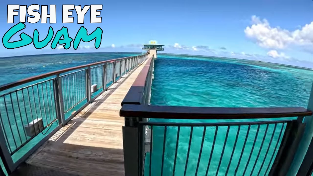 FISH EYE GUAM, SHARKS & TURTLES