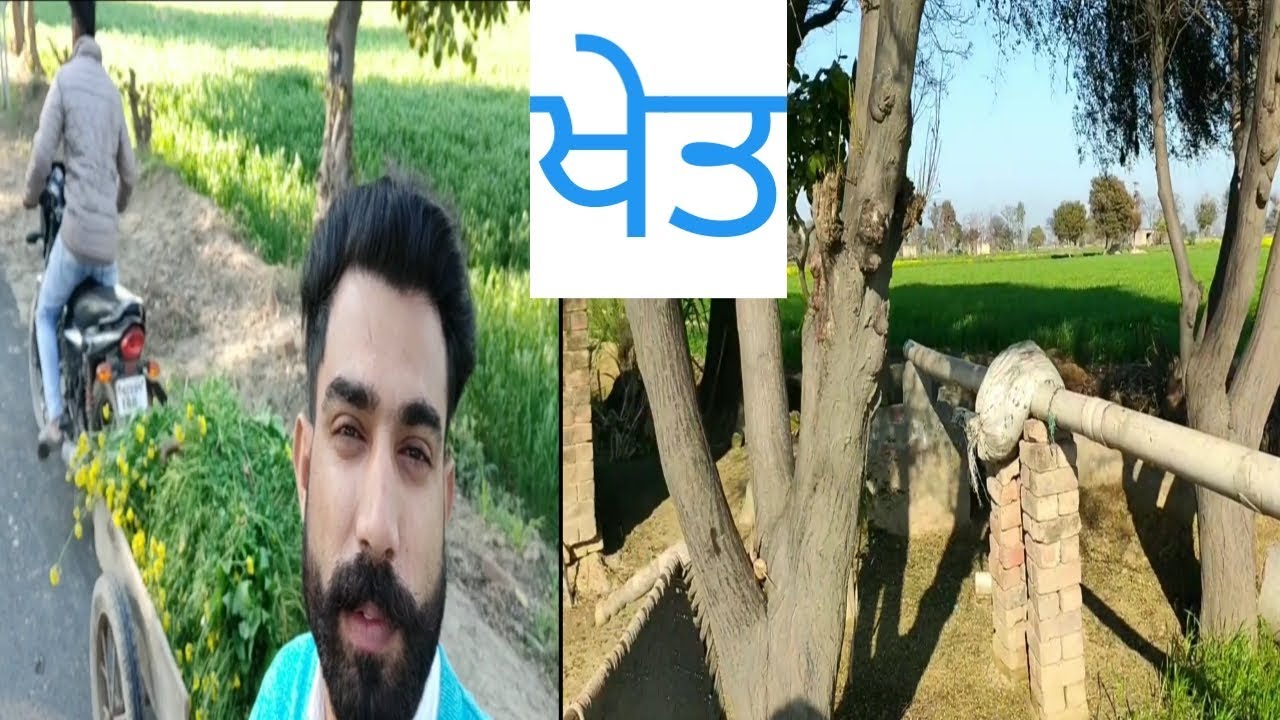 ਖੇਤ (khet) Punjabi vlog