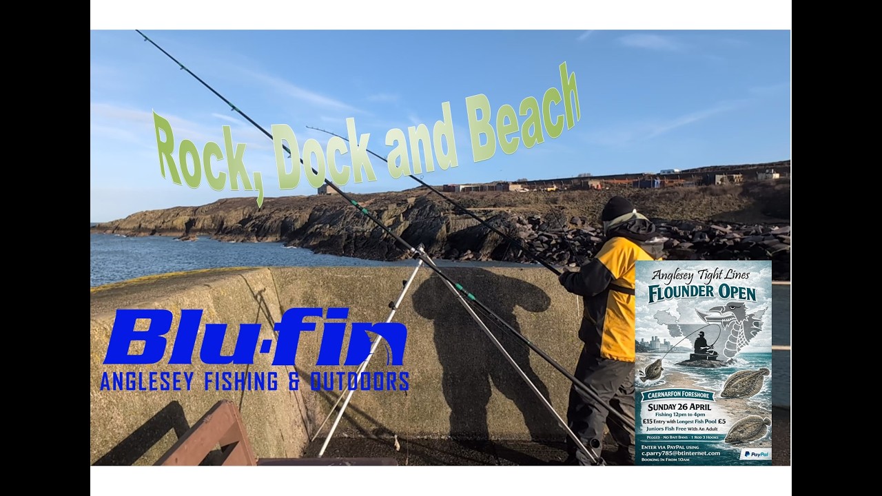 Trying Hard Chasing Species Anglesey Rock, Dock and Beach Fishing