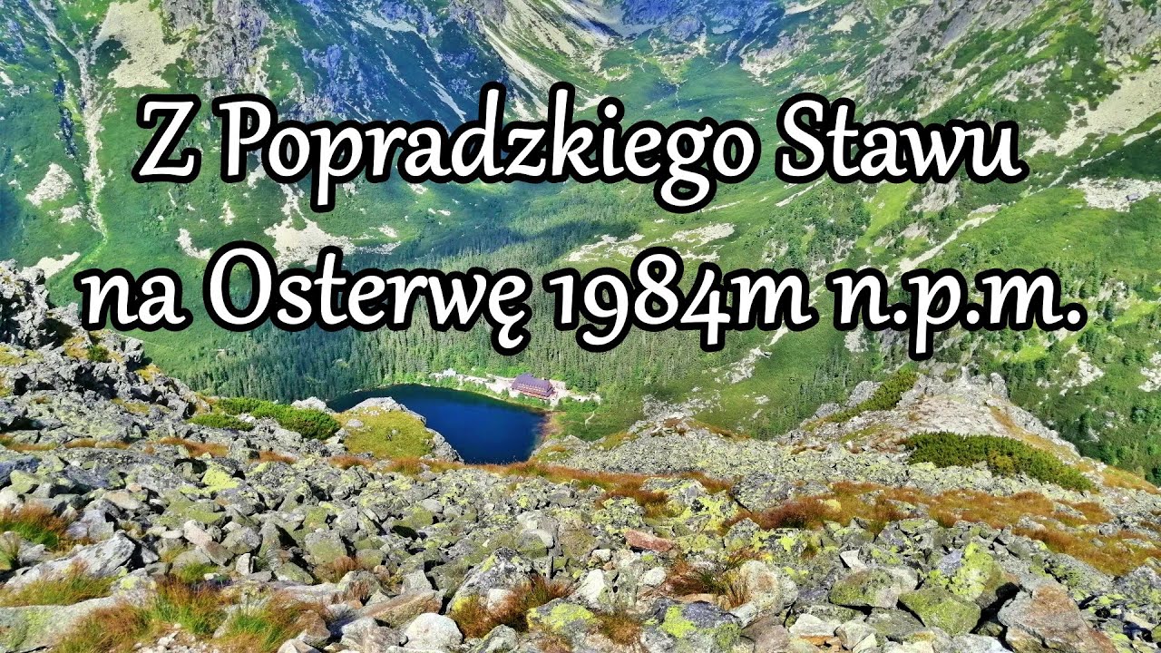Popradzki Staw - Osterwa