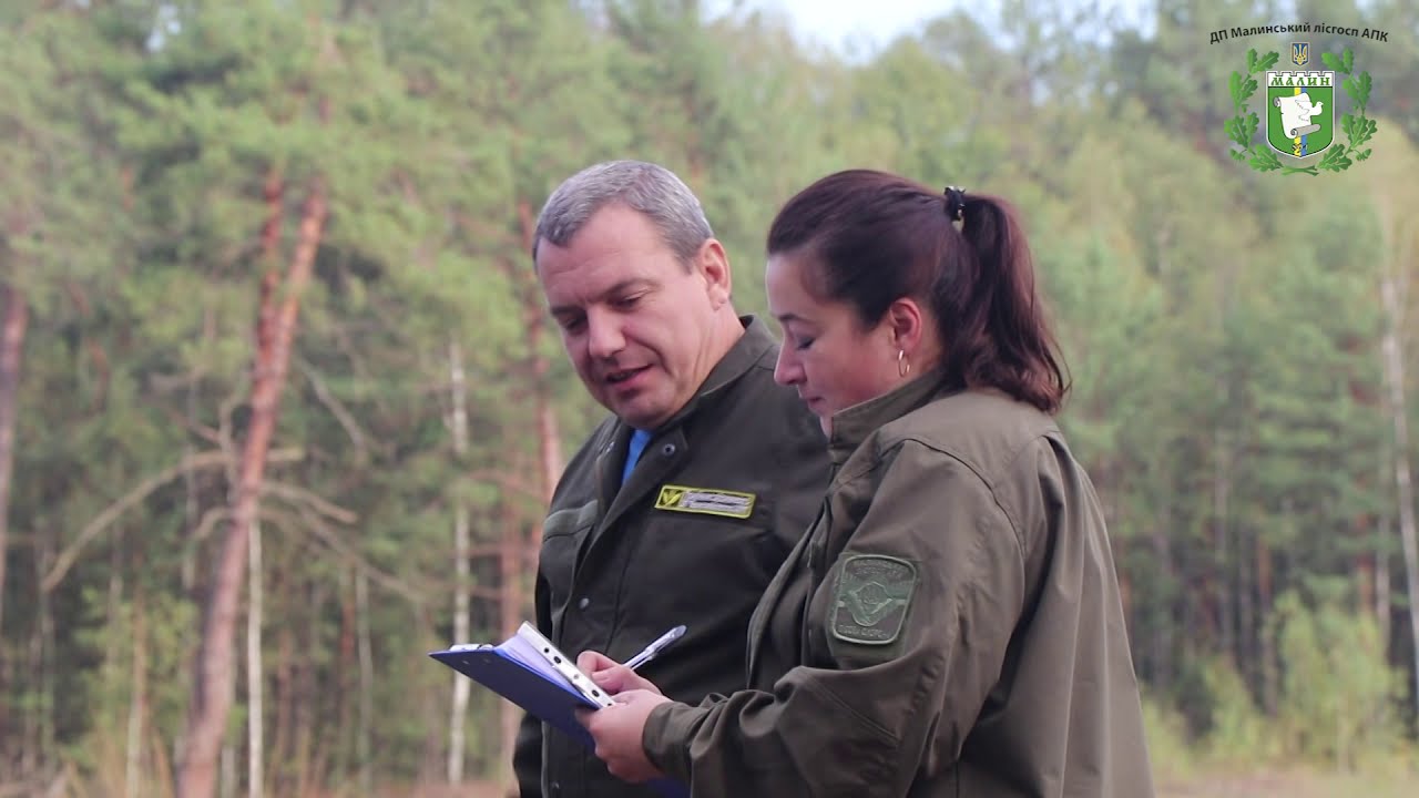 Інвентаризація лісових культур у Ворсівському лісництві