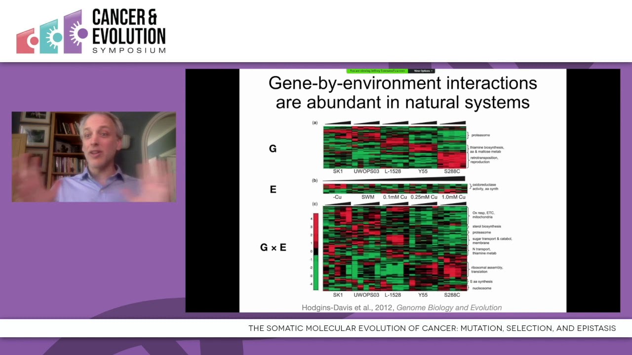 Jeffrey Townsend - The Somatic Molecular Evolution of Cancer: Mutation, Selection, and Epistasis