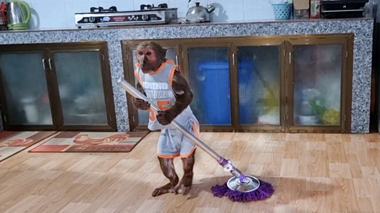 Adorable Abu! Hardworking helps his mom clean the house