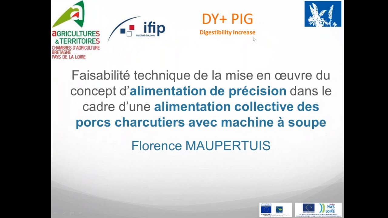 Alimentation de pr&eacute;cision des porcs charcutiers
