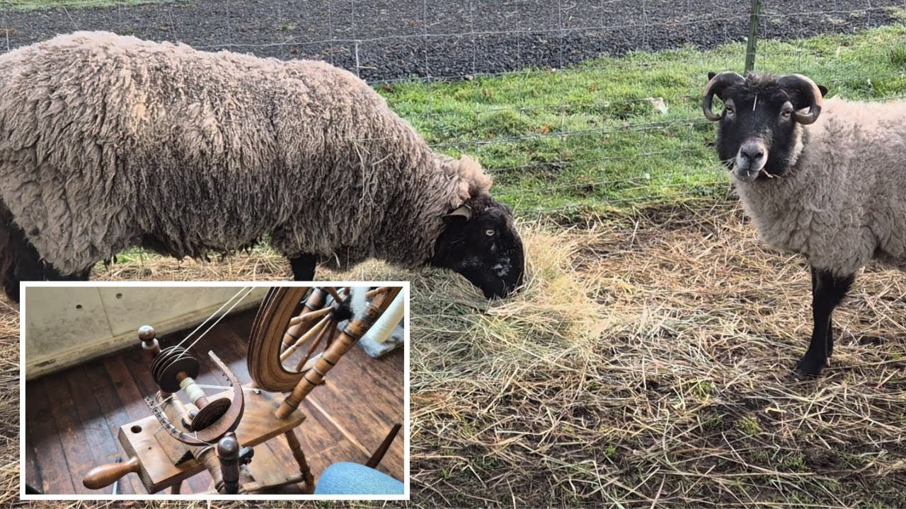 Processing wool inside the mill. Lies are not power. Spinning yarn on an antique spinning wheel.