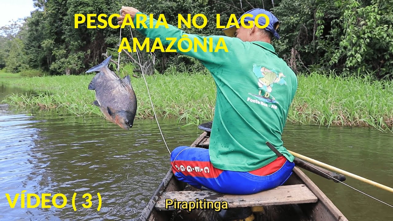 COMUNIDADE SÃO FRANCISCO DA MANGUEIRA - AMAZONAS  -  VÍDEO ( 3 )