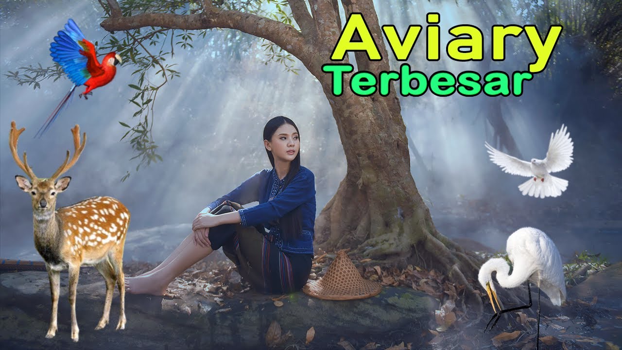 Aviary Terbesar Ini Berisi Burung, Harimau, Macan Tutul, Ular Cobra dll