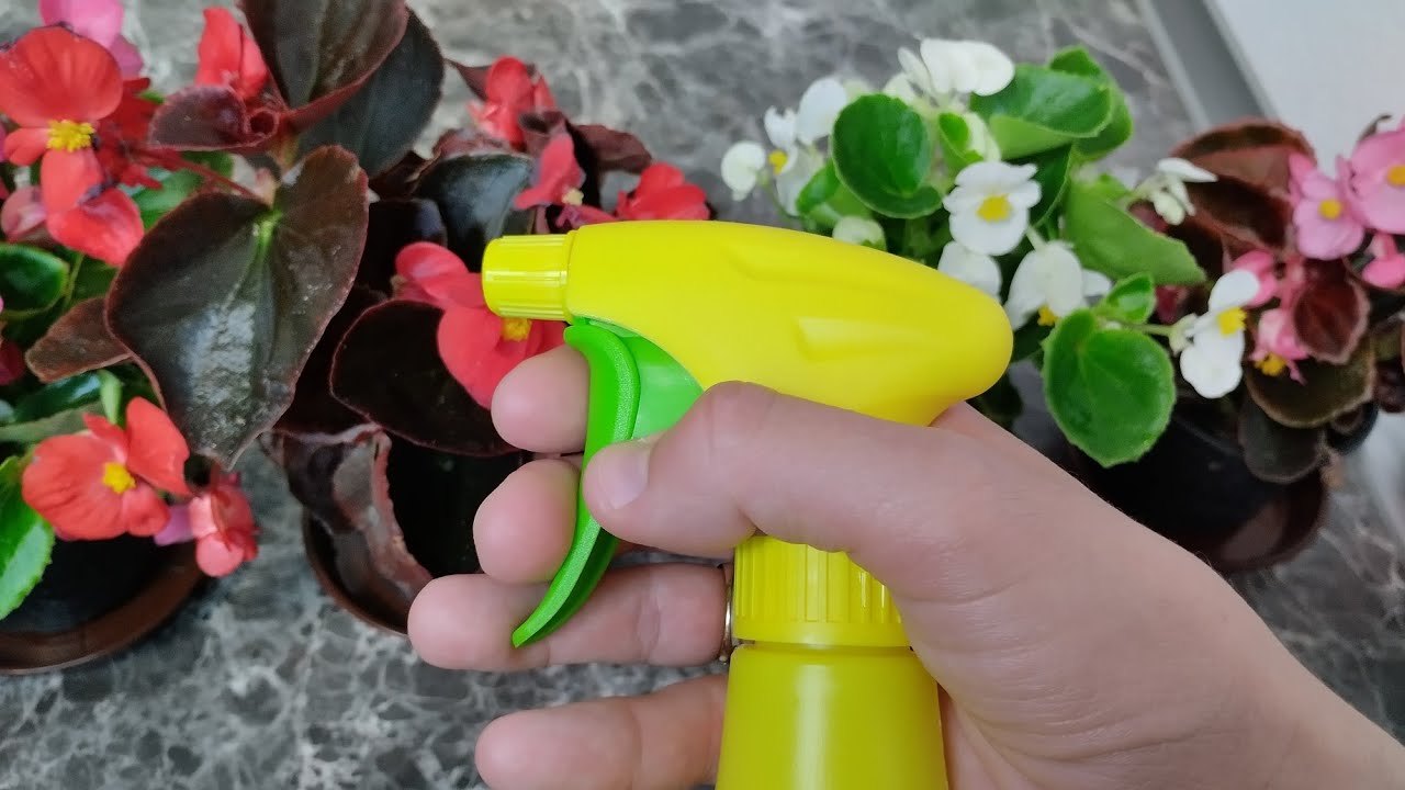 Najjači prirodni insekticid! Lisne u&scaron;i, puževi i stjenice nestaju u tisućama!