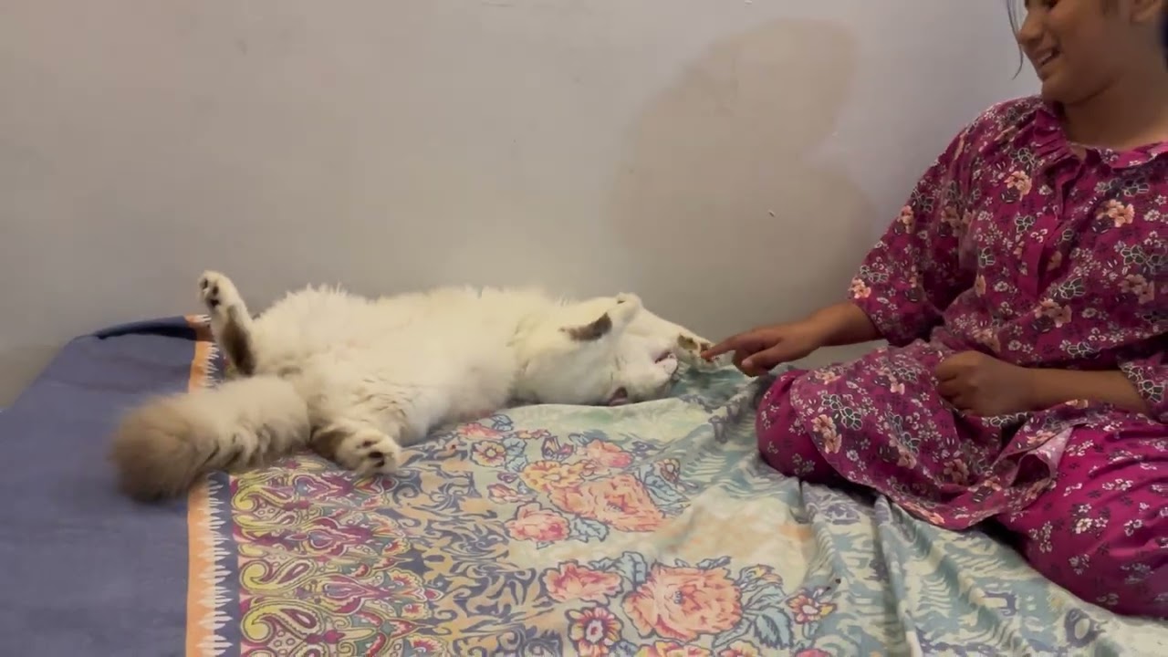 Fluffy Masti with Kids