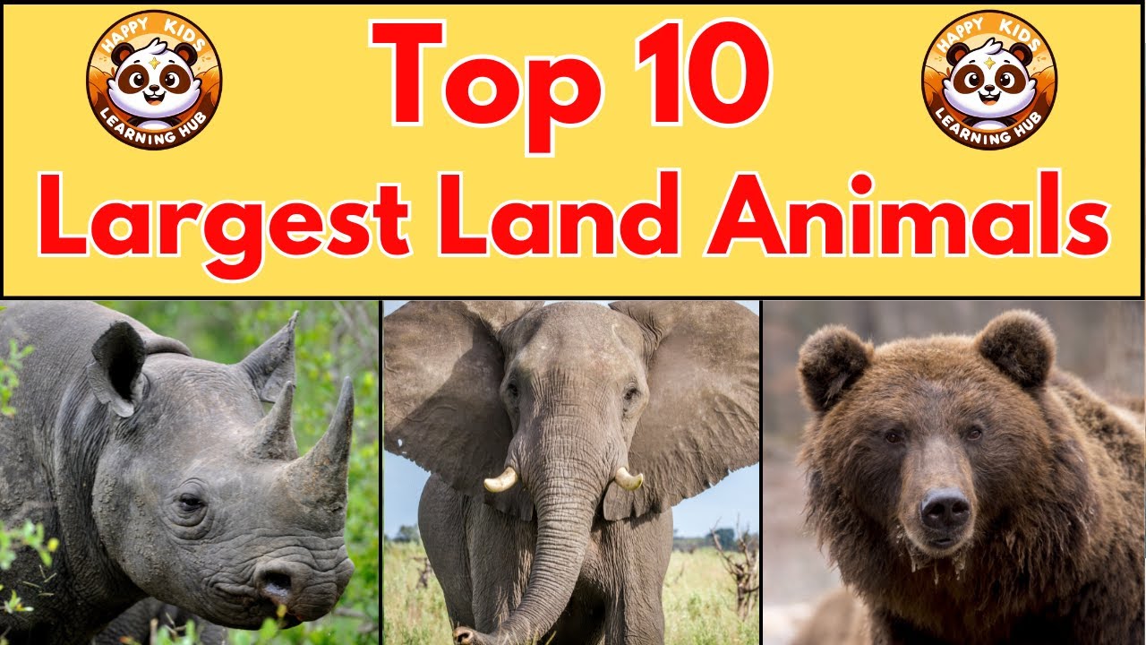 Top 10 Largest Land Animals | Fun Animal Facts for Kids