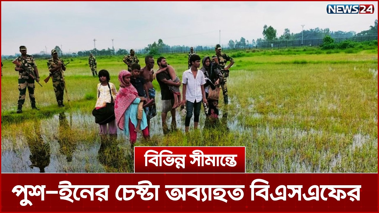 বিভিন্ন সীমান্তে পুশ-ইনের চেষ্টা অব্যাহত বিএসএফের | Push In | BSF | News24