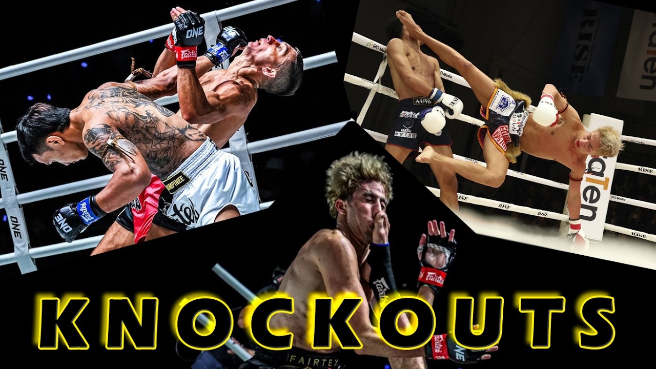 Top Knockouts 2025 / Kickboxing & Muay Thai