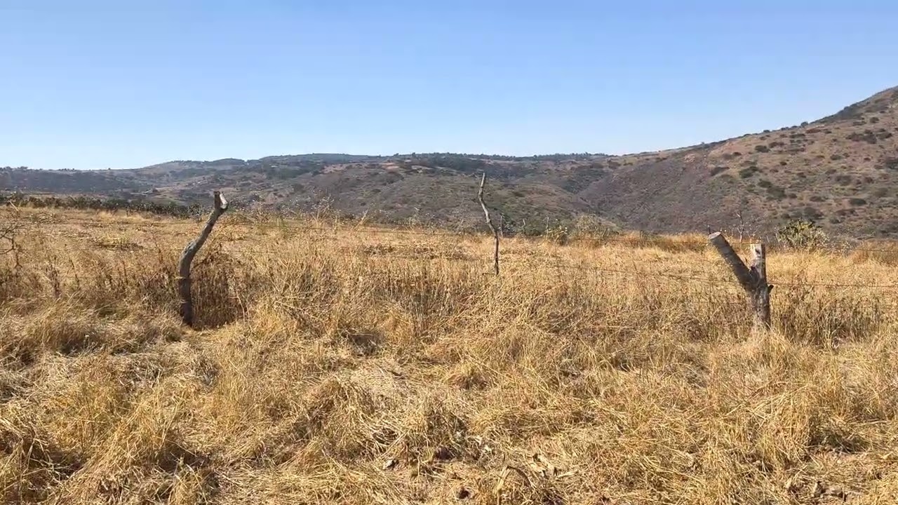 mi tío piscando en la mesita